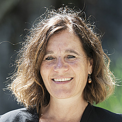 Aargauer Komitee |  Roth